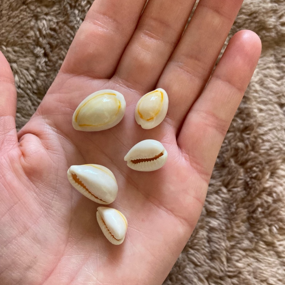Natural Seashell and Glass Pearl Bead Lot with Organizer - Picture 4 of 10